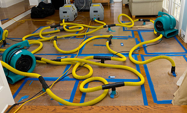 Professional Crawl Space Water Removal technician working in Randolph, NE